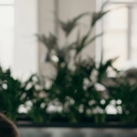 Немецкие игорные сайты онлайн и их проблемы